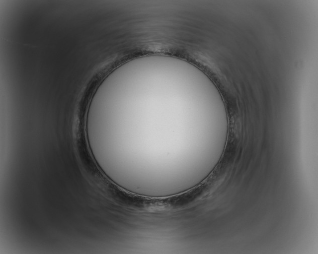 X0000088420587200706191217