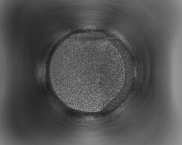 X0000088420588200706191217