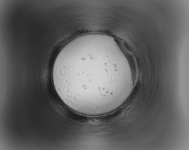 X0000088420591200706191217