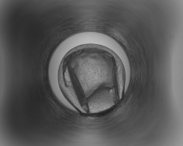 X0000088420593200706191217