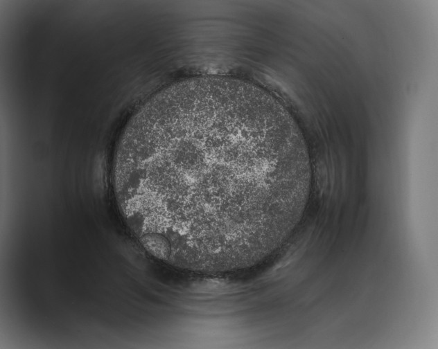 X0000088420594200706191217