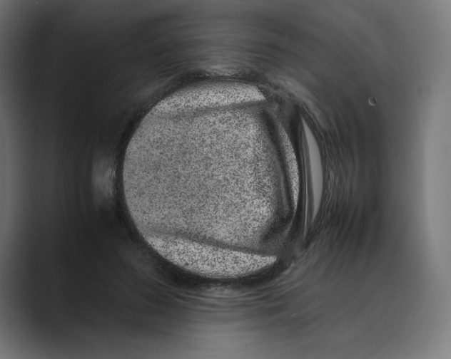 X0000088420596200706191217