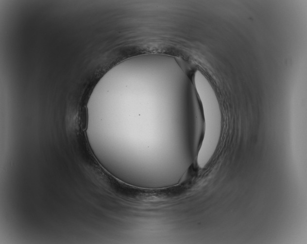 X0000088420597200706191217
