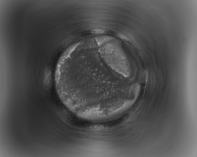 X0000088420598200706191217