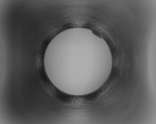 X0000088420599200706191217