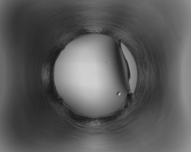 X0000088420600200706191217