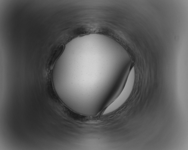 X0000088420601200706191217