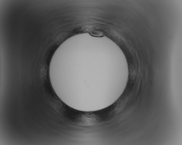 X0000088420603200706191217