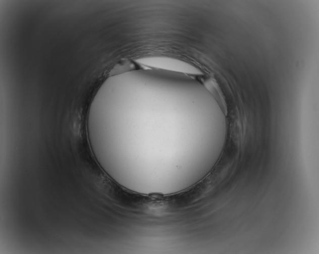 X0000088420604200706191217