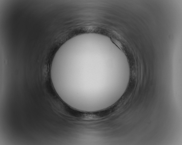 X0000088420605200706191217