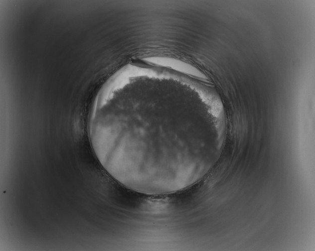 X0000088420606200706191217