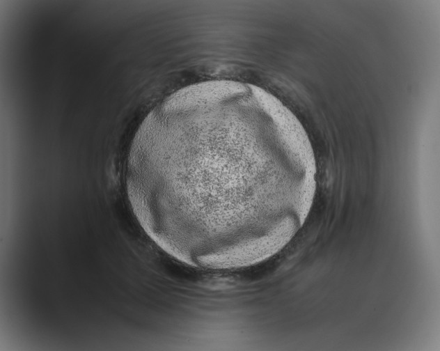 X0000088420607200706191217