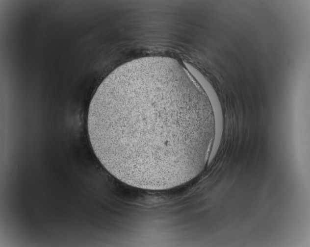 X0000088420608200706191217