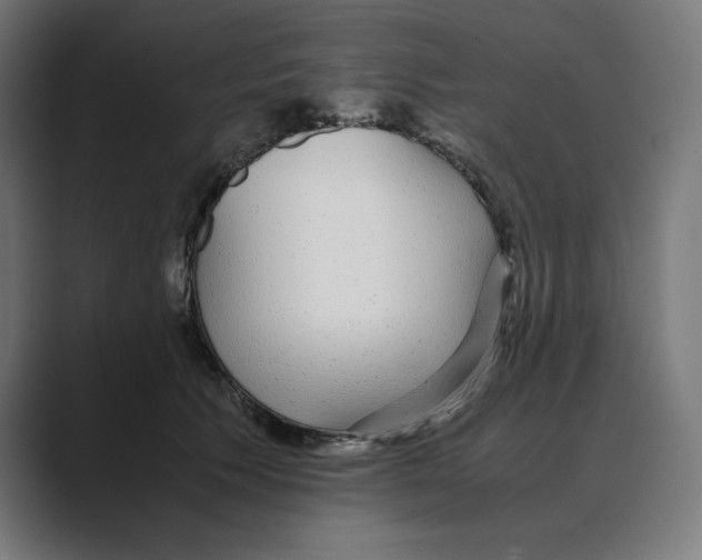 X0000088420609200706191217