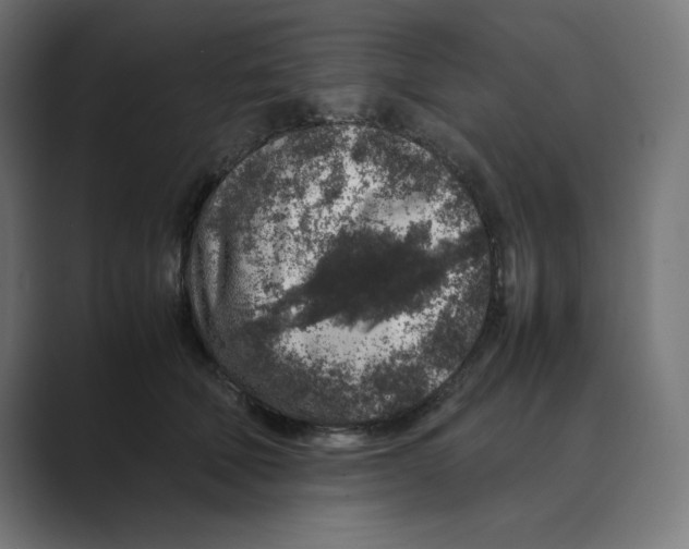X0000088420610200706191217