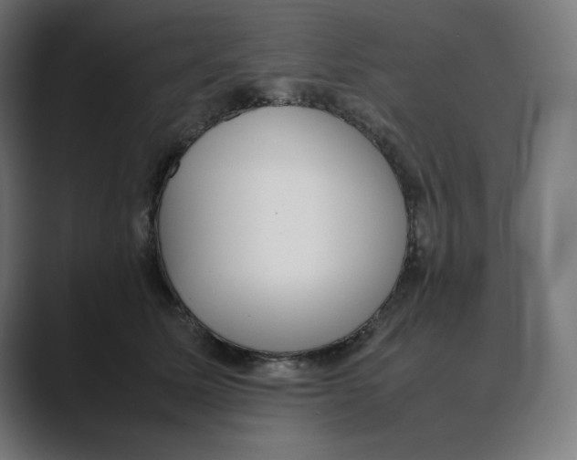 X0000088420611200706191217