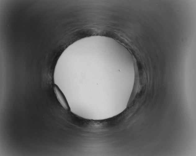 X0000088420613200706191217