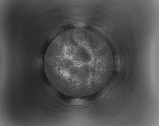 X0000088420614200706191217