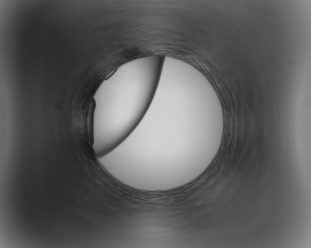 X0000088420617200706191217