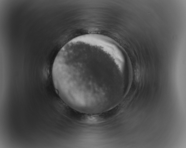 X0000088420618200706191217
