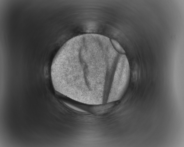 X0000088420620200706191217