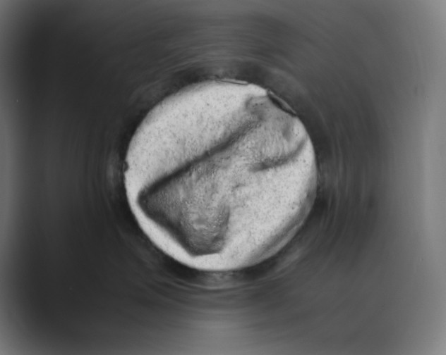 X0000088420623200706191217