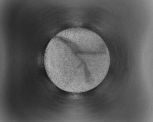 X0000088420624200706191217