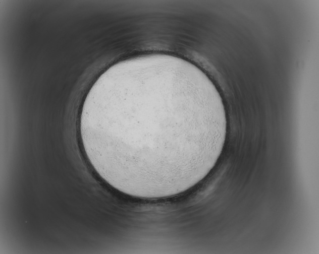 X0000088420625200706191216