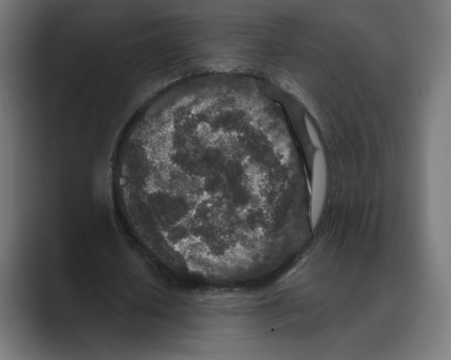 X0000088420626200706191216