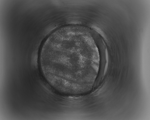 X0000088420627200706191216