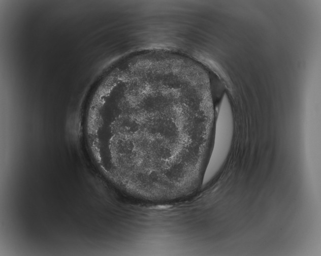 X0000088420628200706191216