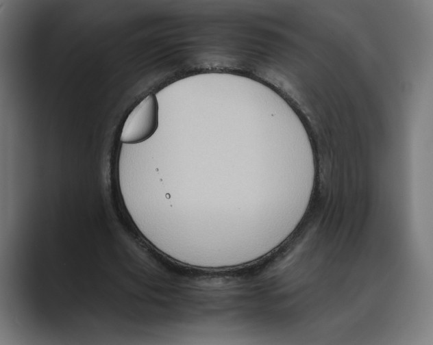 X0000088420629200706191216