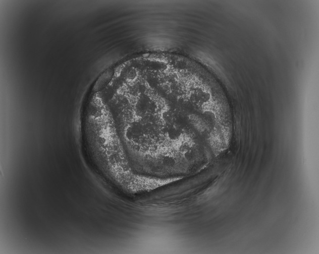X0000088420630200706191216