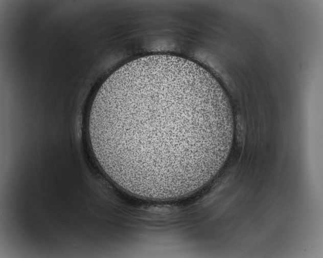 X0000088420631200706191216