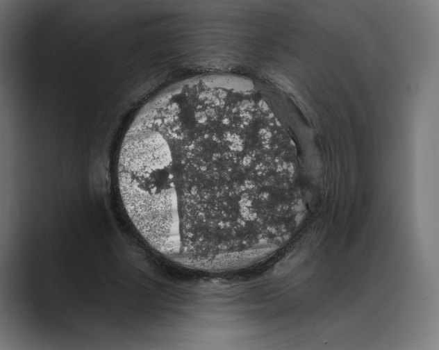 X0000088420634200706191216