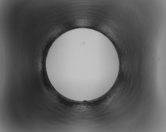X0000088420635200706191216