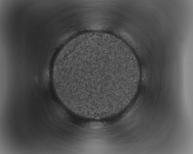 X0000088420636200706191216