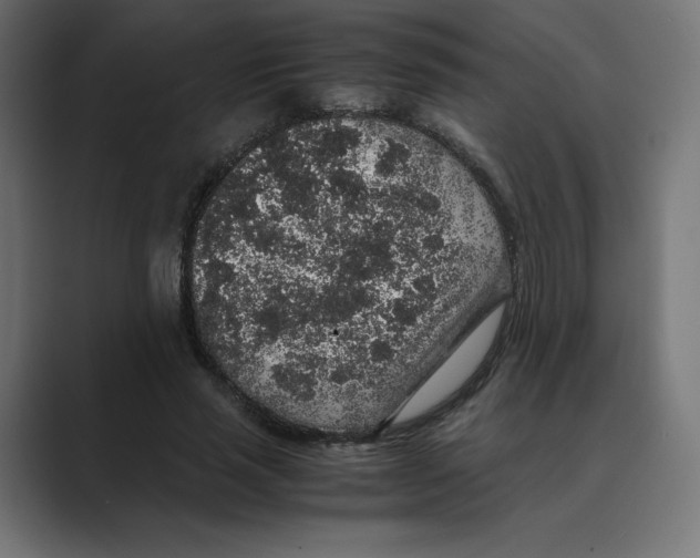 X0000088420637200706191216