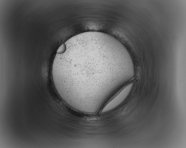 X0000088420639200706191216