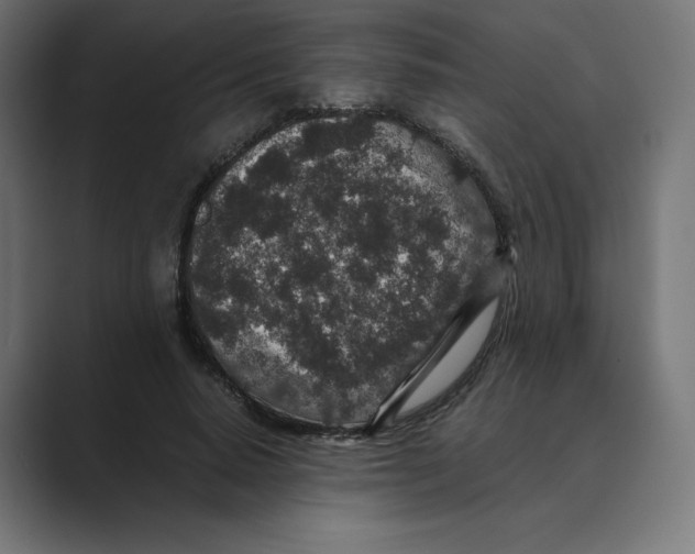 X0000088420640200706191216