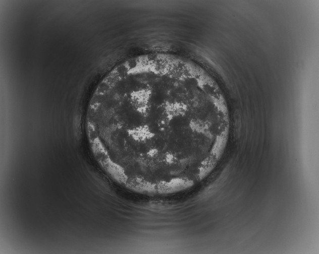 X0000088420641200706191216