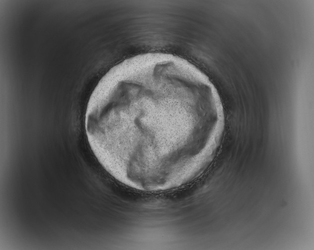X0000088420642200706191216