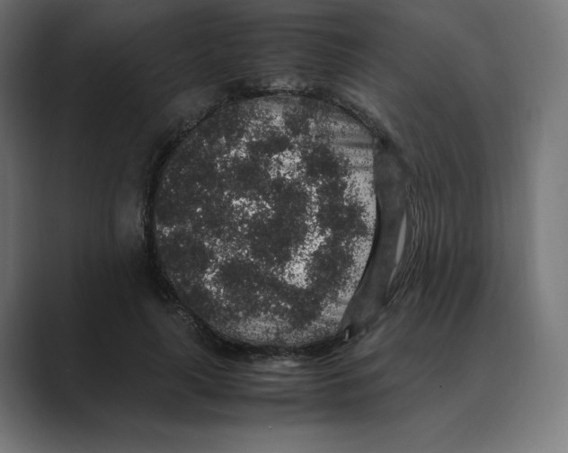 X0000088420643200706191216
