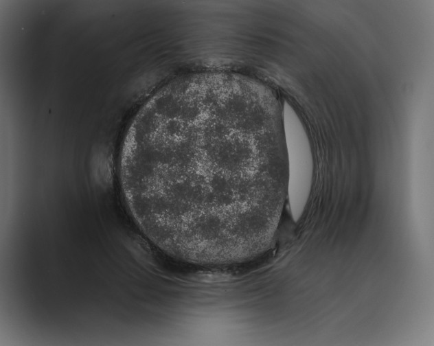X0000088420644200706191216