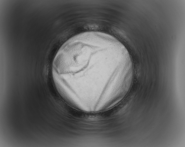 X0000088420645200706191217