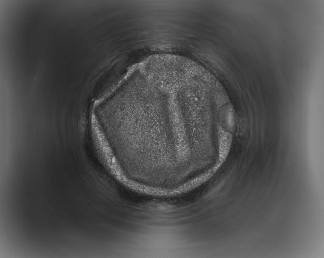 X0000088420648200706191217