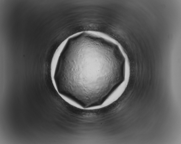 X0000088420649200706191217