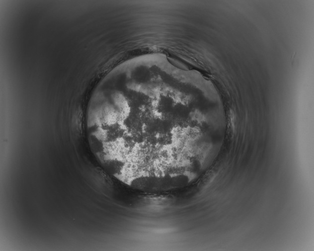 X0000088420650200706191217