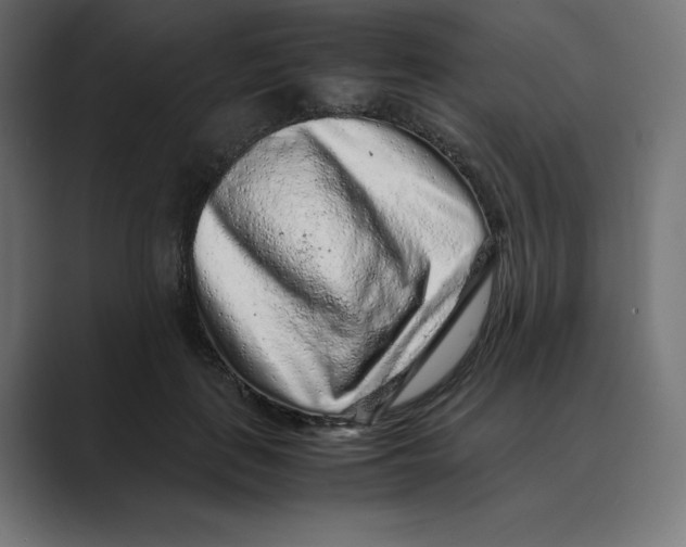 X0000088420651200706191217