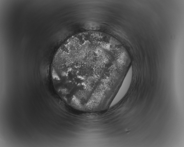 X0000088420652200706191217